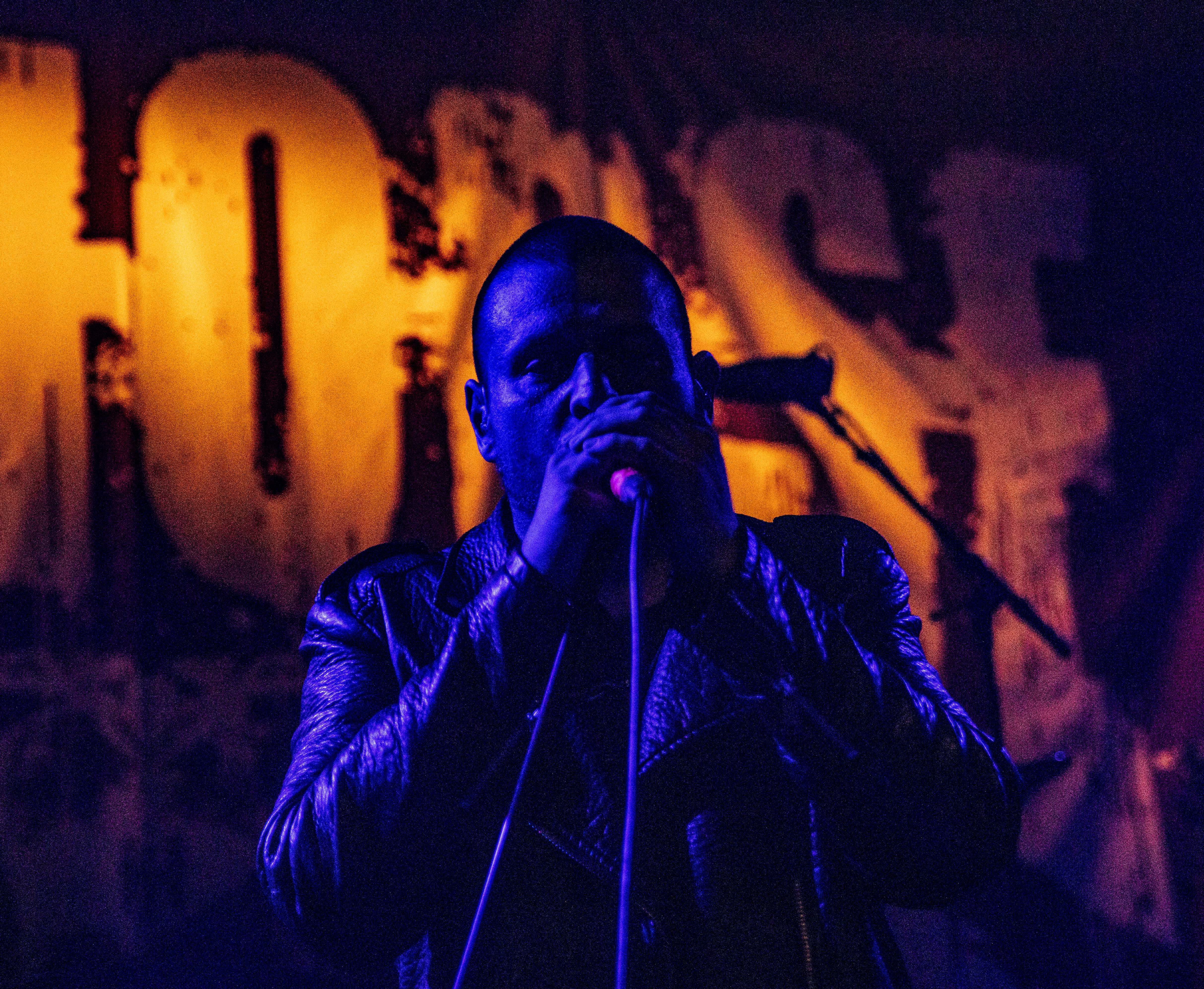 Helhorse (Hotel Cecil, København)