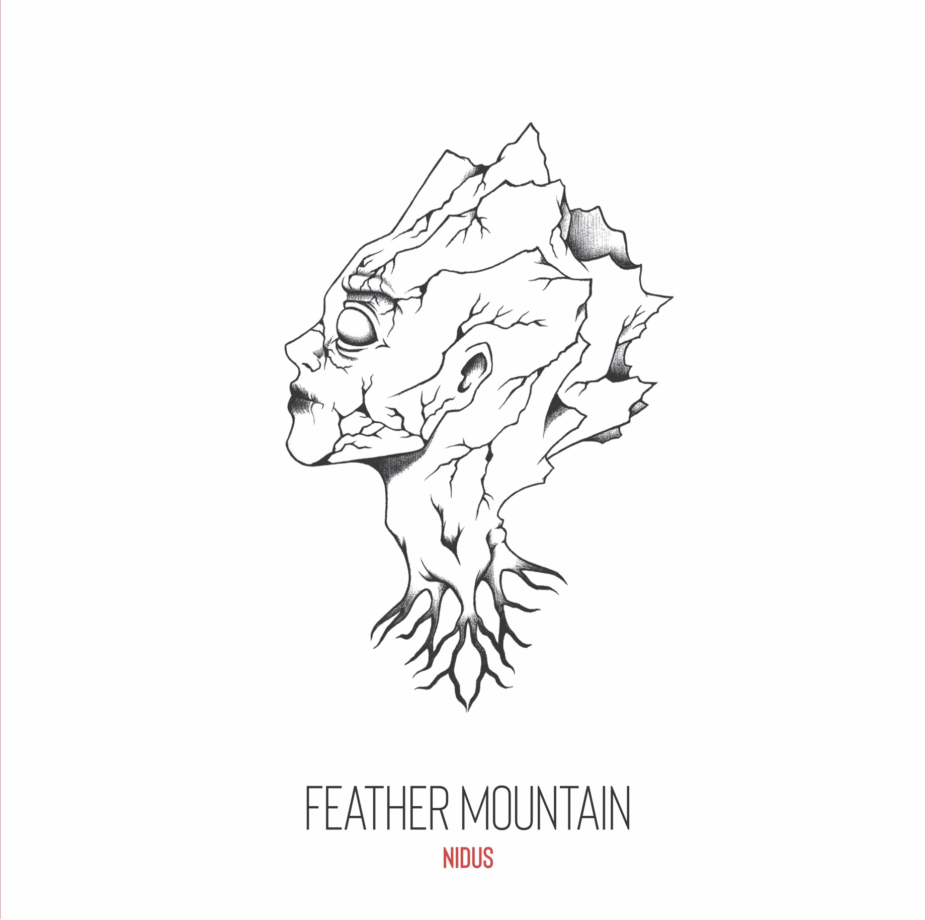 Feather Mountain – Nidus