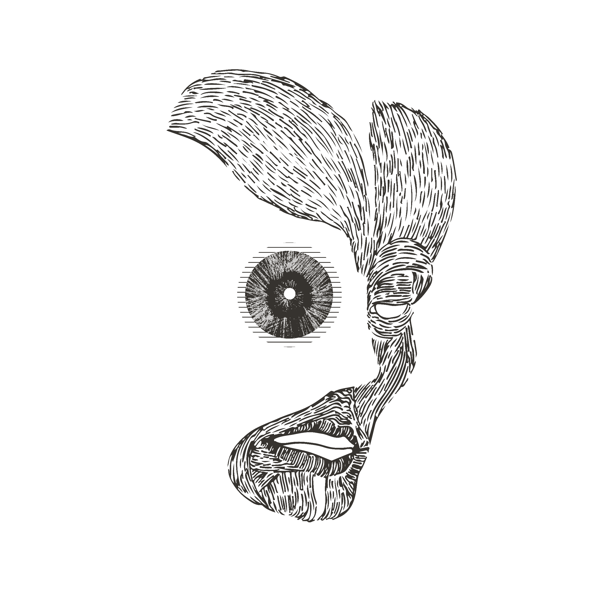 Syreregn – Cogito Ergo Sum