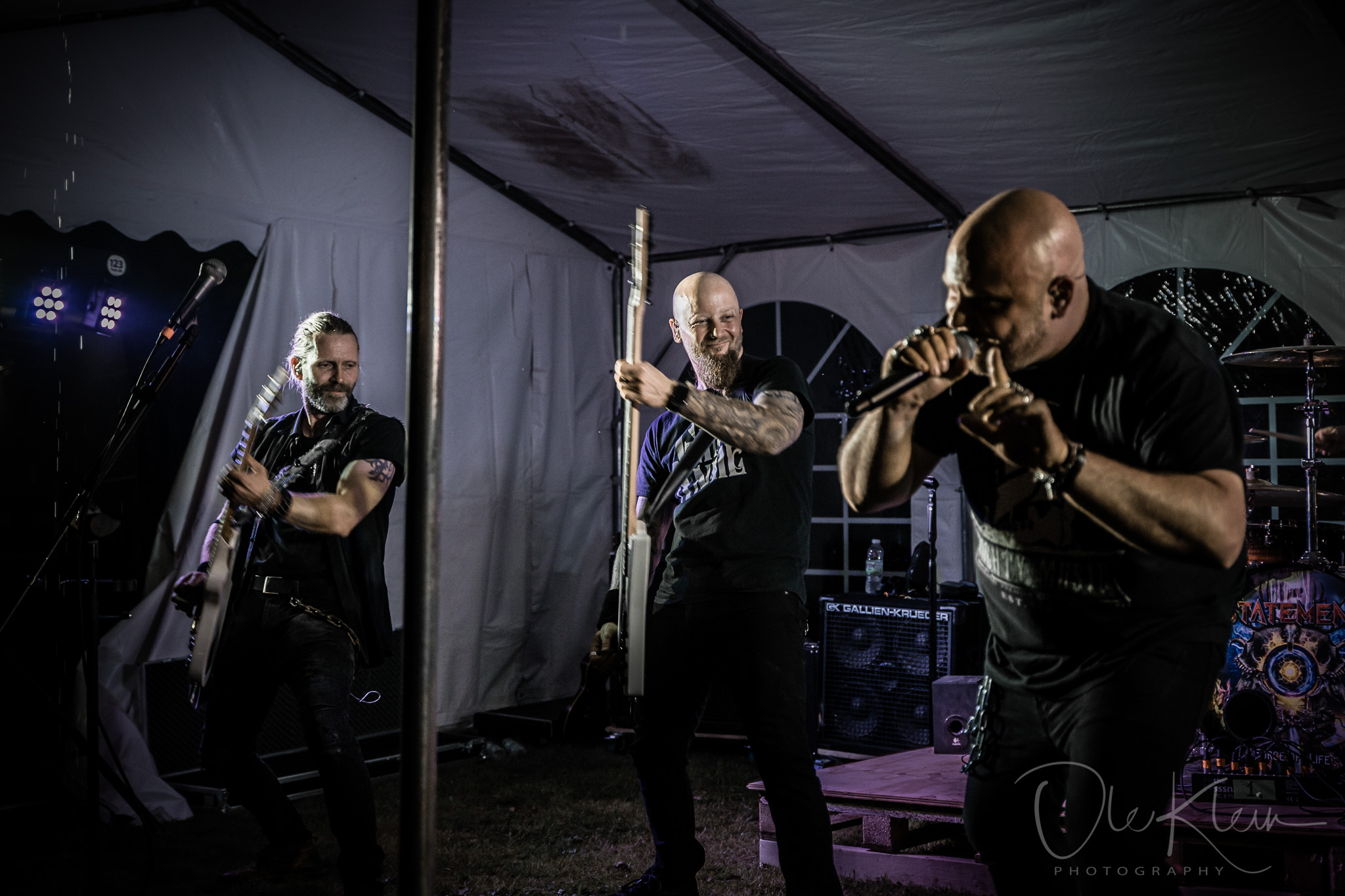 Statement (Grøn Grønnere, Ribe)