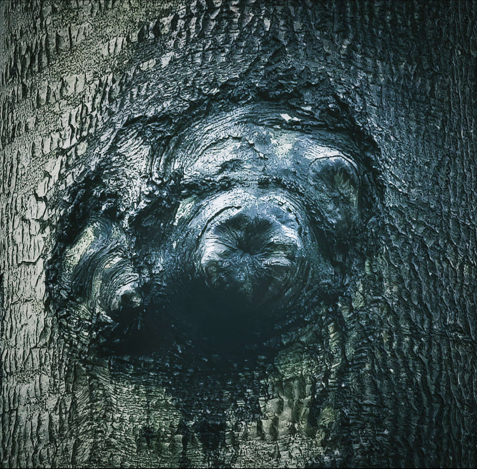 Blodmåne – Inner Demons